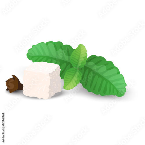 A piece of sugar, mint leaves and cloves close-up isolated on white background. Vector illustration.