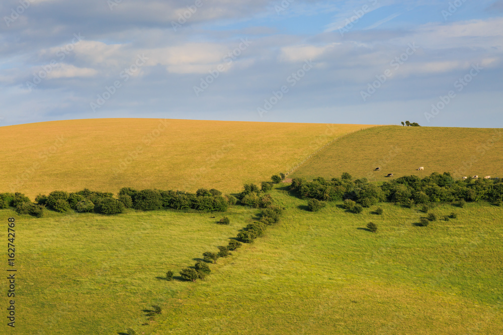 Obraz premium Sussex Landscape