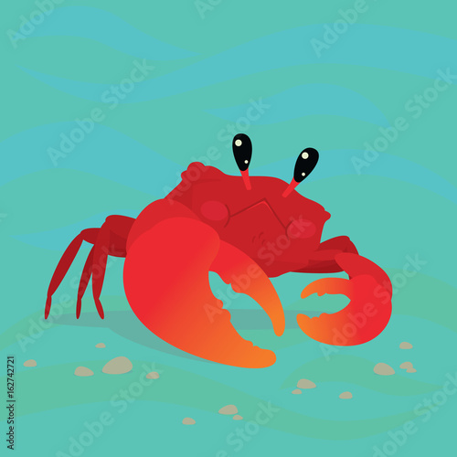 Cute Crab in a cool pose underwater.