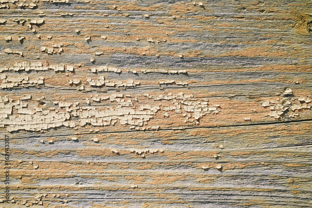Old wooden board texture with cracked and almost completely peeled creamy paint Old wooden board texture with cracked and almost completely peeled creamy paint