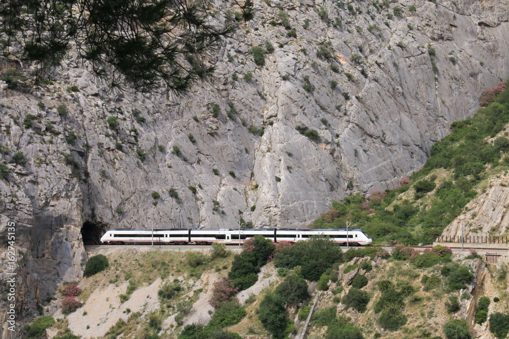 Fototapeta premium Train crossing a tunnel in Caminito del Rey, Malaga, Spain