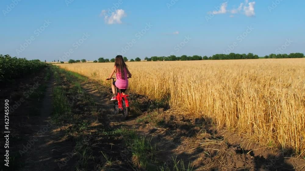 Child on a bicycle in the field. A little girl is riding a bicycle in a wheat field. Child on a bicycle in the field. A little girl is riding a bicycle in a wheat field.