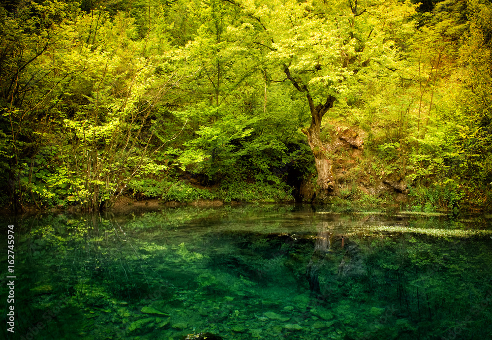 Source of the river in the mountainous forest