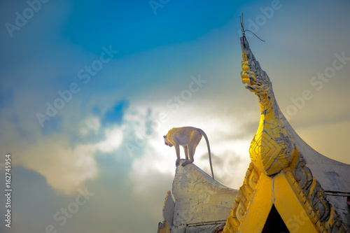 A lone monkey stands on the ridge of a temple gazing down. photo