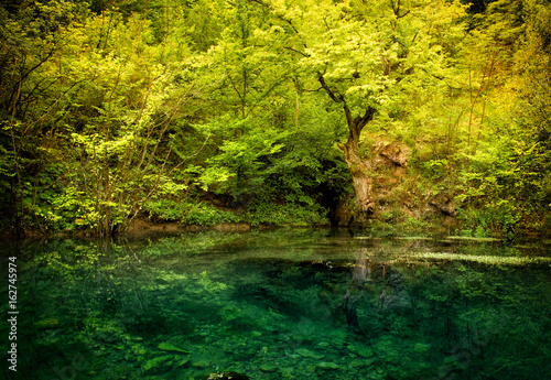 Fototapeta Naklejka Na Ścianę i Meble -  Source of the river in the mountainous forest