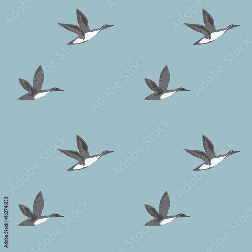 Pattern flying wild gray ducks on a light blue background art abstract creative modern vector illustration