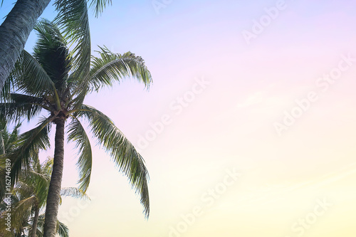 Artistic atmosphere of Coconut palm tree on sunset sky background.
