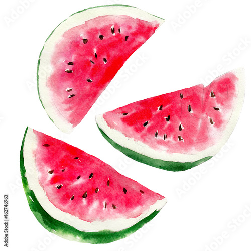 Watermelon set isolated on white background, watercolor hand drawn illustration.
