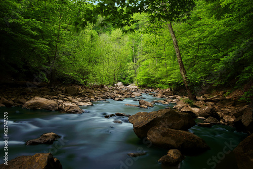 Wilderness Virginia Creek 