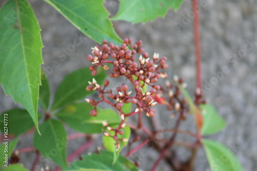 Soon you will see us