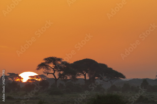 Landscapes of Amboseli. Kenya  Africa