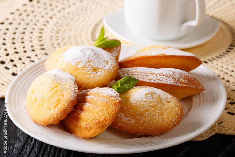 Beautiful pastry Madeleine with mint and tea close-up. horizontal Beautiful pastry Madeleine with mint and tea close-up. horizontal