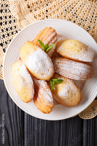 Madeleine biscuits with powdered sugar and mint closeup on a plate on the table. vertical top view