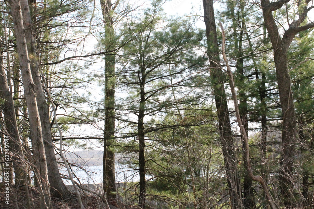 Naklejka premium Green team