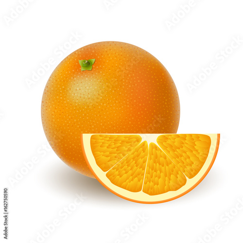 Isolated colored group of oranges, slice and whole juicy fruit with shadow on white background. Realistic citrus.