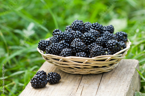 blackberries in a basket on a background of green grass