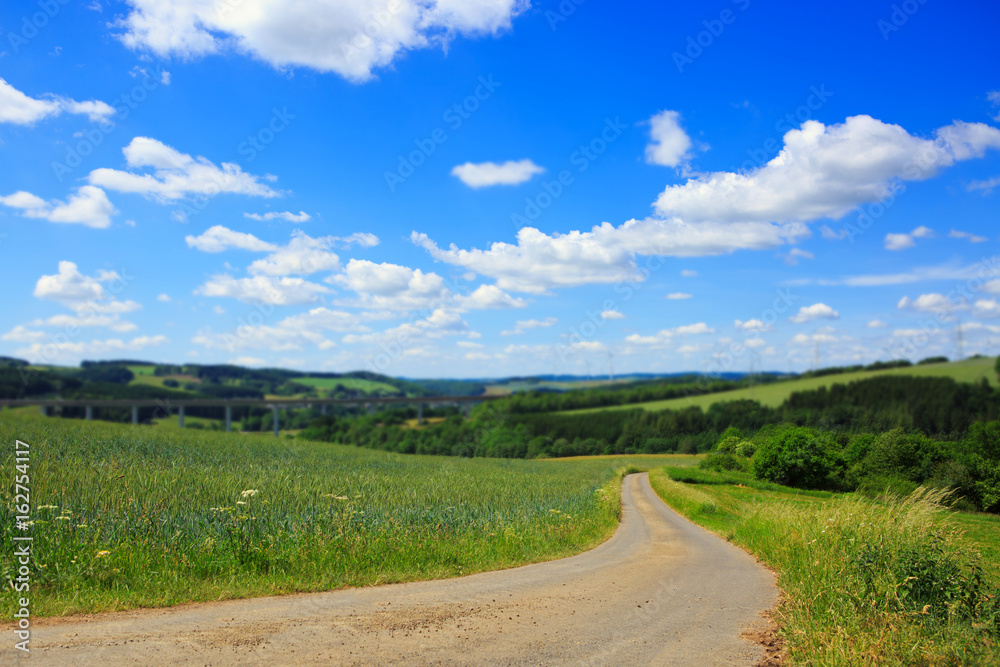 Road with wheat field and blue sky .