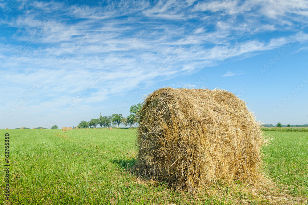 Roll of hay on a green field against a beautiful sky background