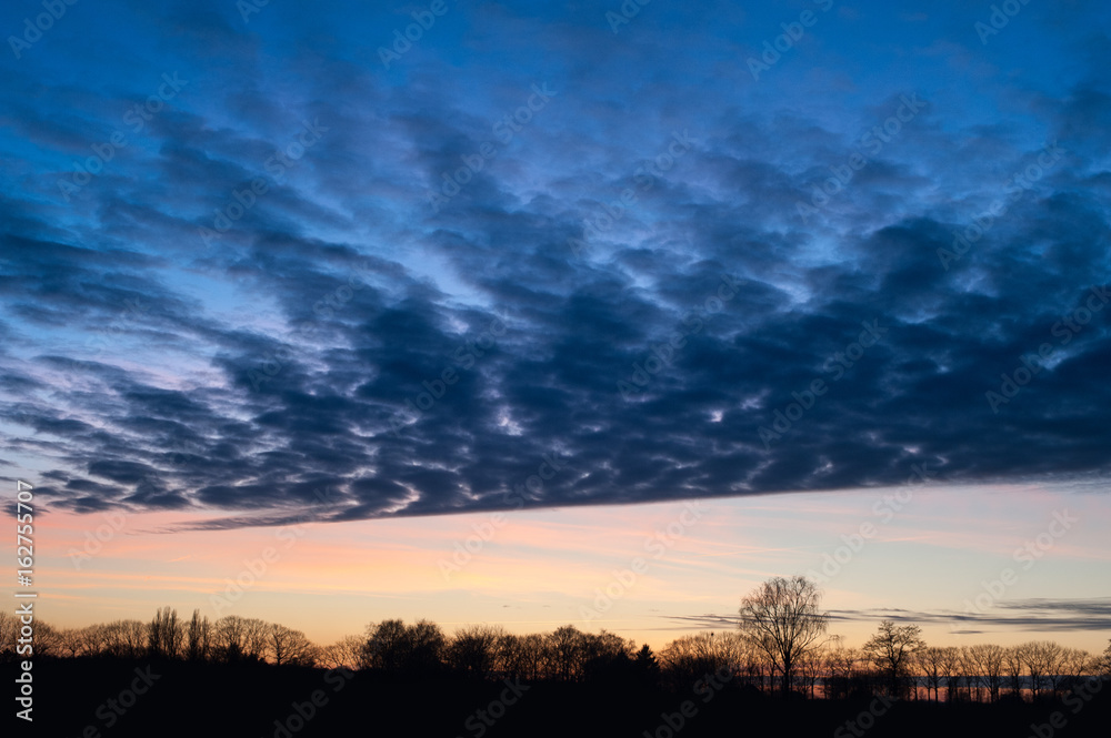 Sunset, deep blue clouds and pink sky. Some tree silhouettes Sunset, deep blue clouds and pink sky. Some tree silhouettes