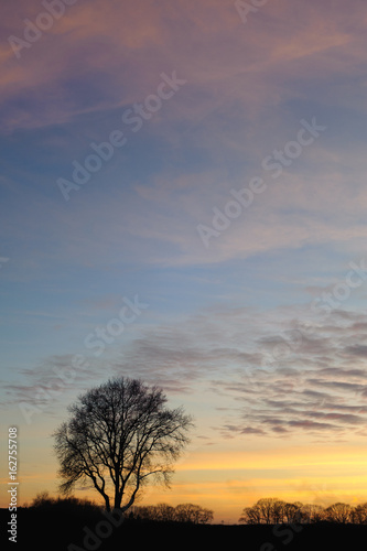 Sunset, a very colorful sky and some tree silhouettes