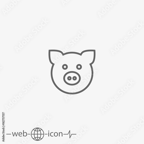 pig