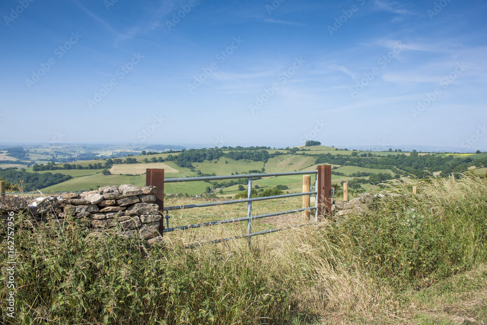 As far as the eye can see, gate in country field setting