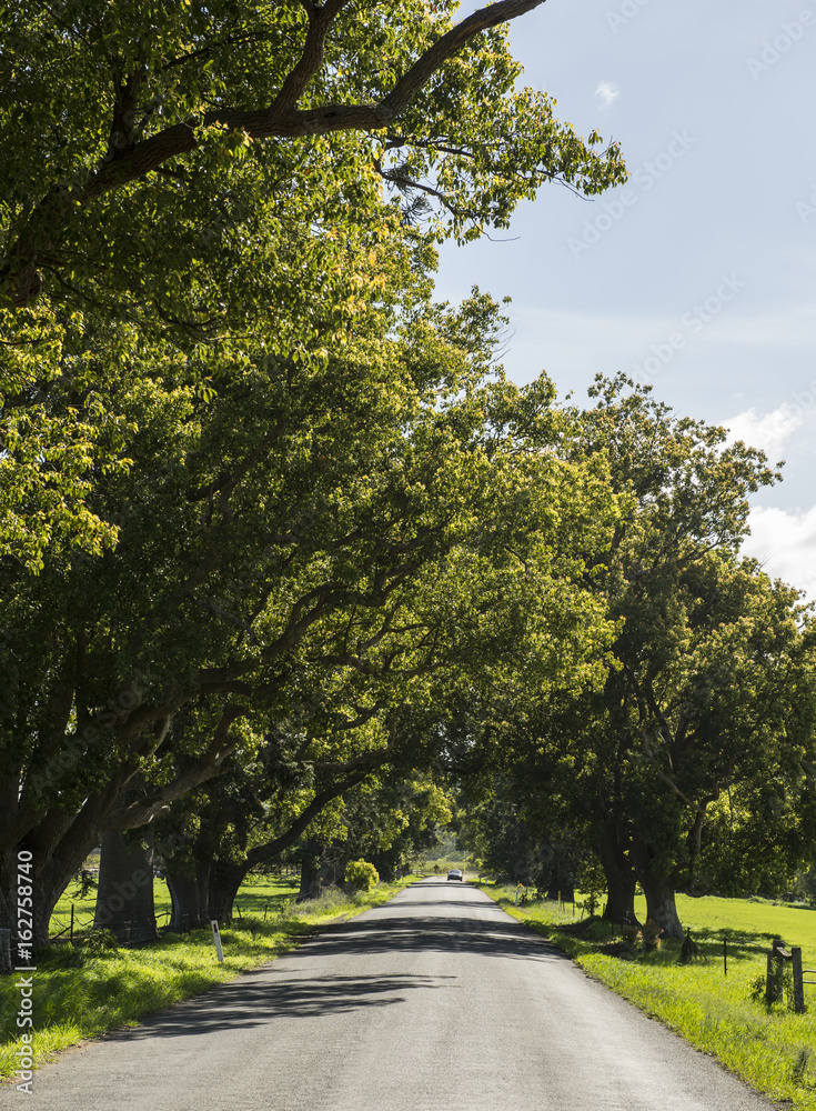 Nature of Kangaro valley in Southern highlands, Sydney