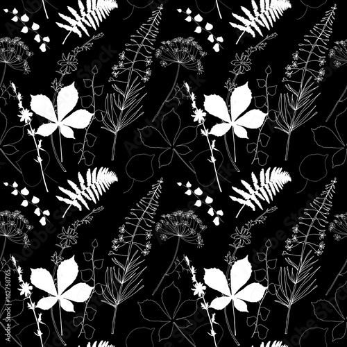 Vector floral seamless pattern  with  fireweed, chicory, dill flowers and fer...