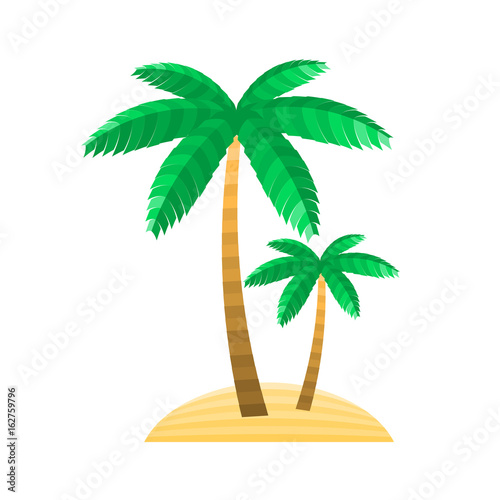 Abstract symbol of the palm. Vector illustration for magazine  poster  book cover  banner  flyer  booklet  print. Island  trunk  branches and leaves of the stripes.