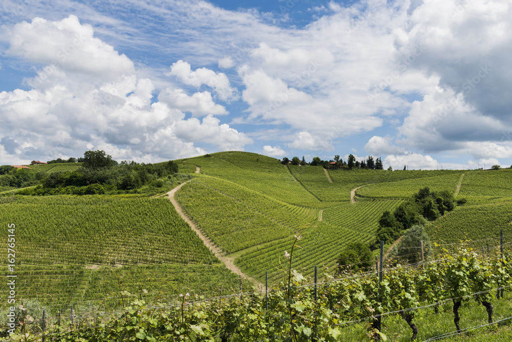 Vineyards and hills of Garbelletto Piedmont, Italy