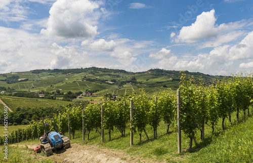 Canvas Print Vineyards of Barbaresco, Garbelletto Piedmont