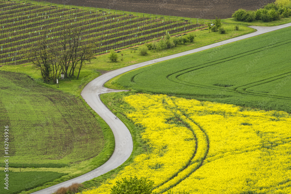 Curved country road on South Moravian region
