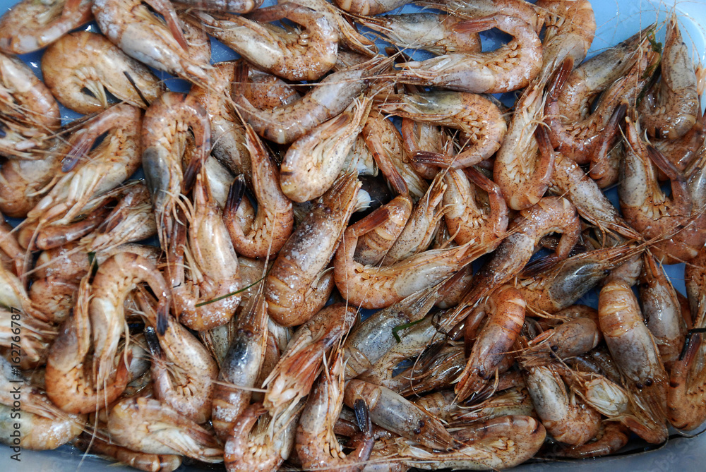 Background of Fresh shrimp
