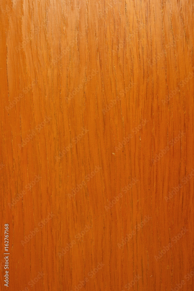 Naklejka premium Pattern on a tree from space