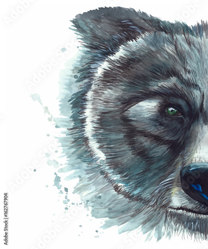 Painted watercolor drawing of an animal bear
