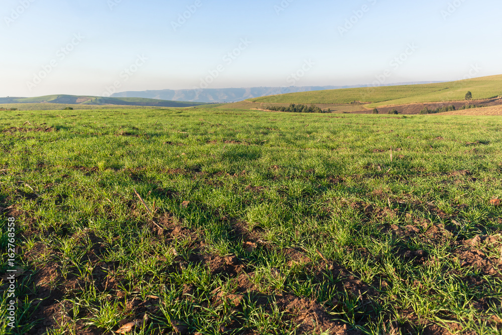 Farming Grass Seeded Field Landscape