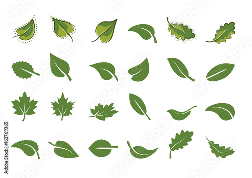 green leaf icons set