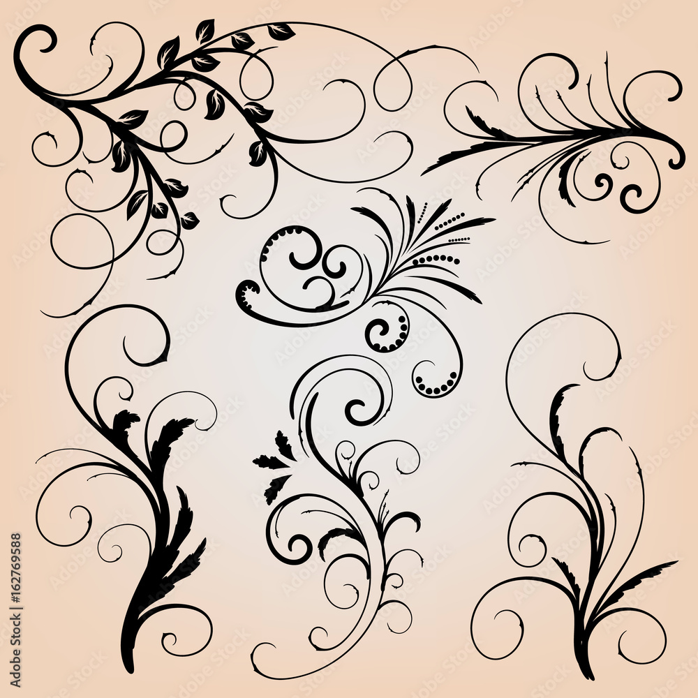 Floral calligraphic elements Floral calligraphic elements
