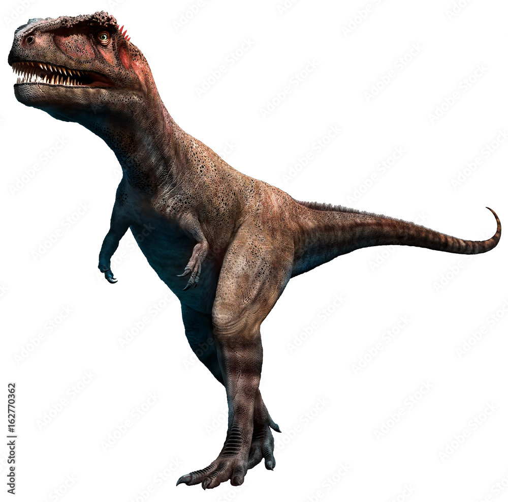 Fototapeta premium Mapusaurus from the Cretaceous era 3D illustration