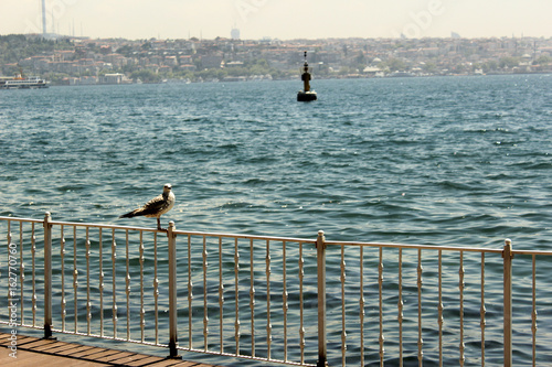 пирс в Стамбуле