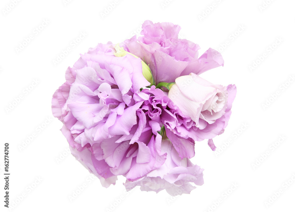 トルコキキョウの花束 トルコキキョウの花束