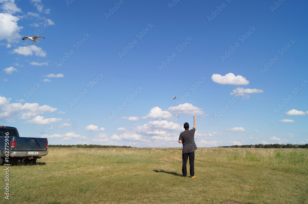 Colorful photo of man feeding with bread the seagull birds in empty field near the car, landscape photo Colorful photo of man feeding with bread the seagull birds in empty field near the car, landscape photo