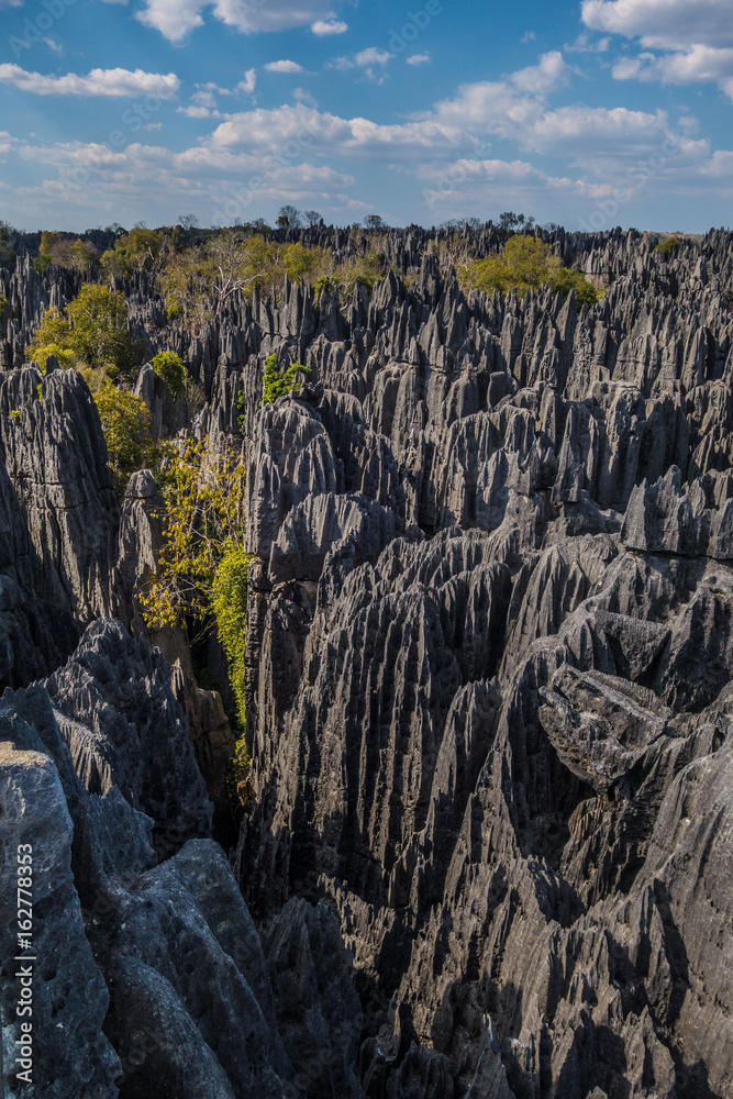 Bemaraha tsingy nature reserve view Bemaraha tsingy nature reserve view