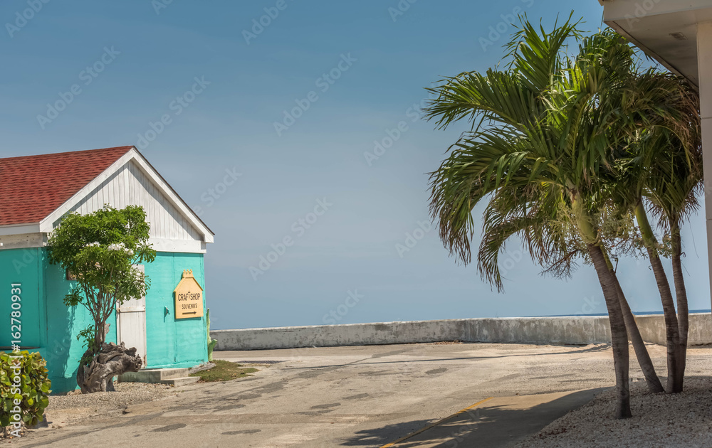 Obraz premium Island architecture in Grand Cayman with aqua blue building and green palm trees . Very picturesque