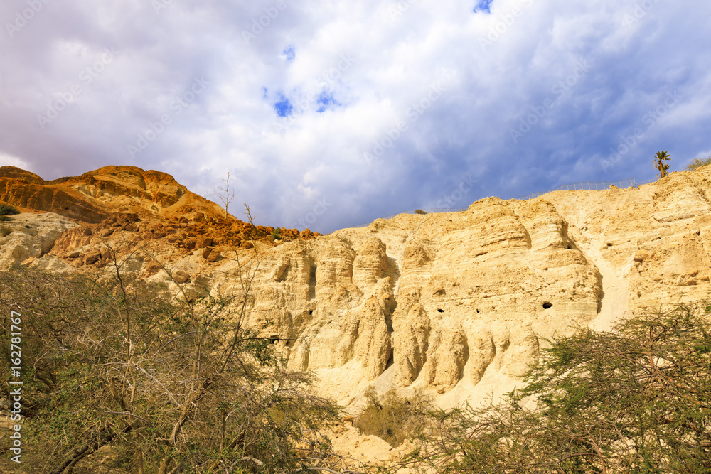 Fototapeta premium Ein Gedi Nature Reserve.