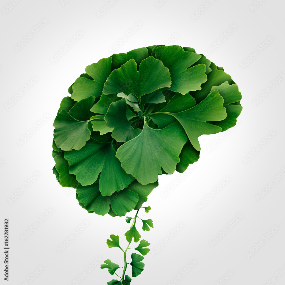 Fototapeta premium Ginkgo Biloba Brain