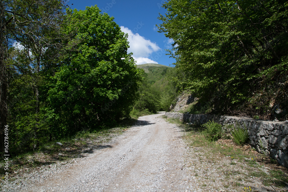Strada forestale verso Monte Cervati, da Sanza, Parco Nazionale del Cilento e Vallo di Diano, primavera