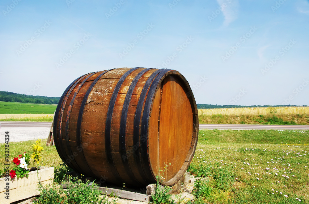 Wooden barrel for wine placed in agricultural field Wooden barrel for wine placed in agricultural field