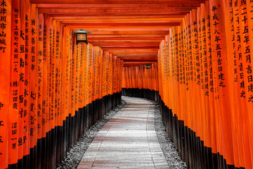 Wandcirkels Tokio Hemelpoort torii in Kyoto  © Sven Taubert