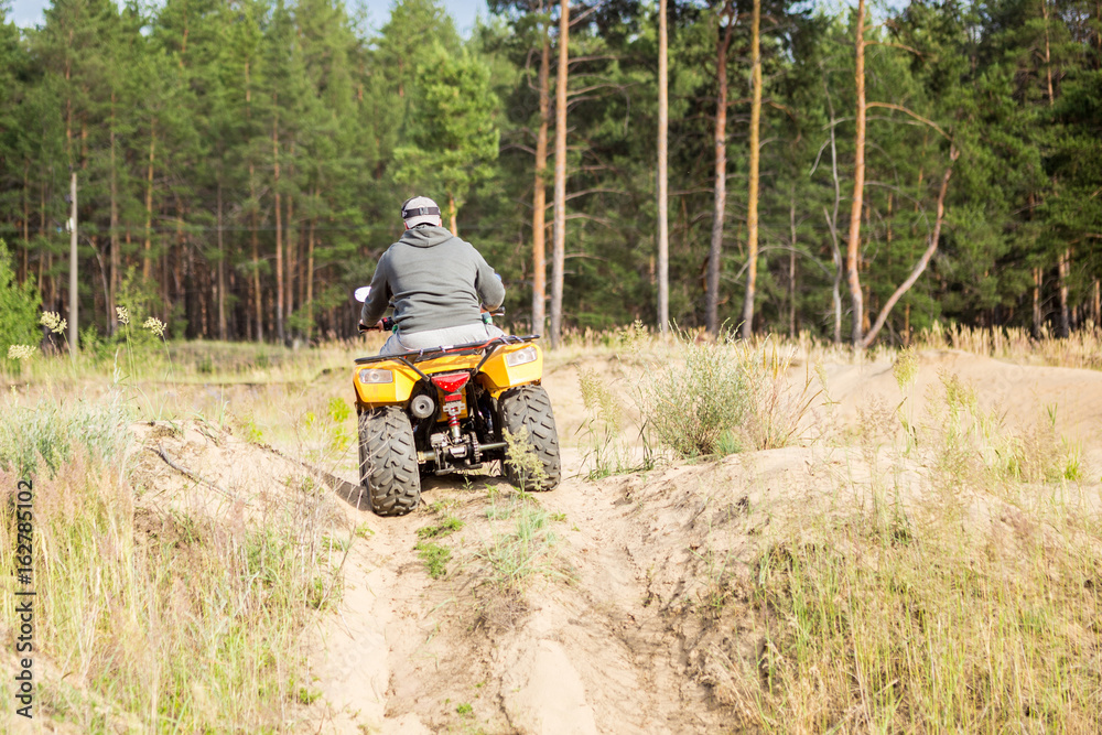 Obraz premium A man riding ATV on a sand road in a forest, back view